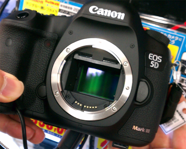 5D Mark 3 Full Frame Sensor Image