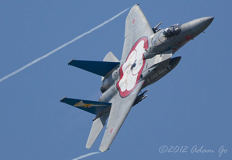 The Mascot Hyakuri Air Squadron (F-15 Eagle) Making Flyingby